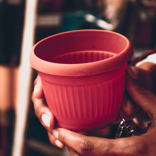 primer-plano-de-una-mano-femenina-sosteniendo-una-maceta-de-flores-vacia